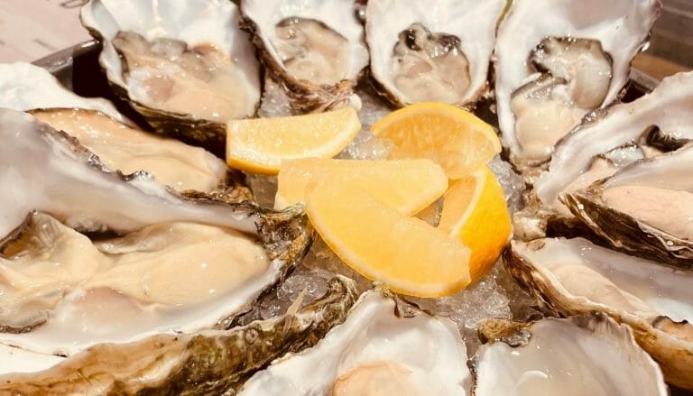 restaurant review – shucked oyster & seafood bar