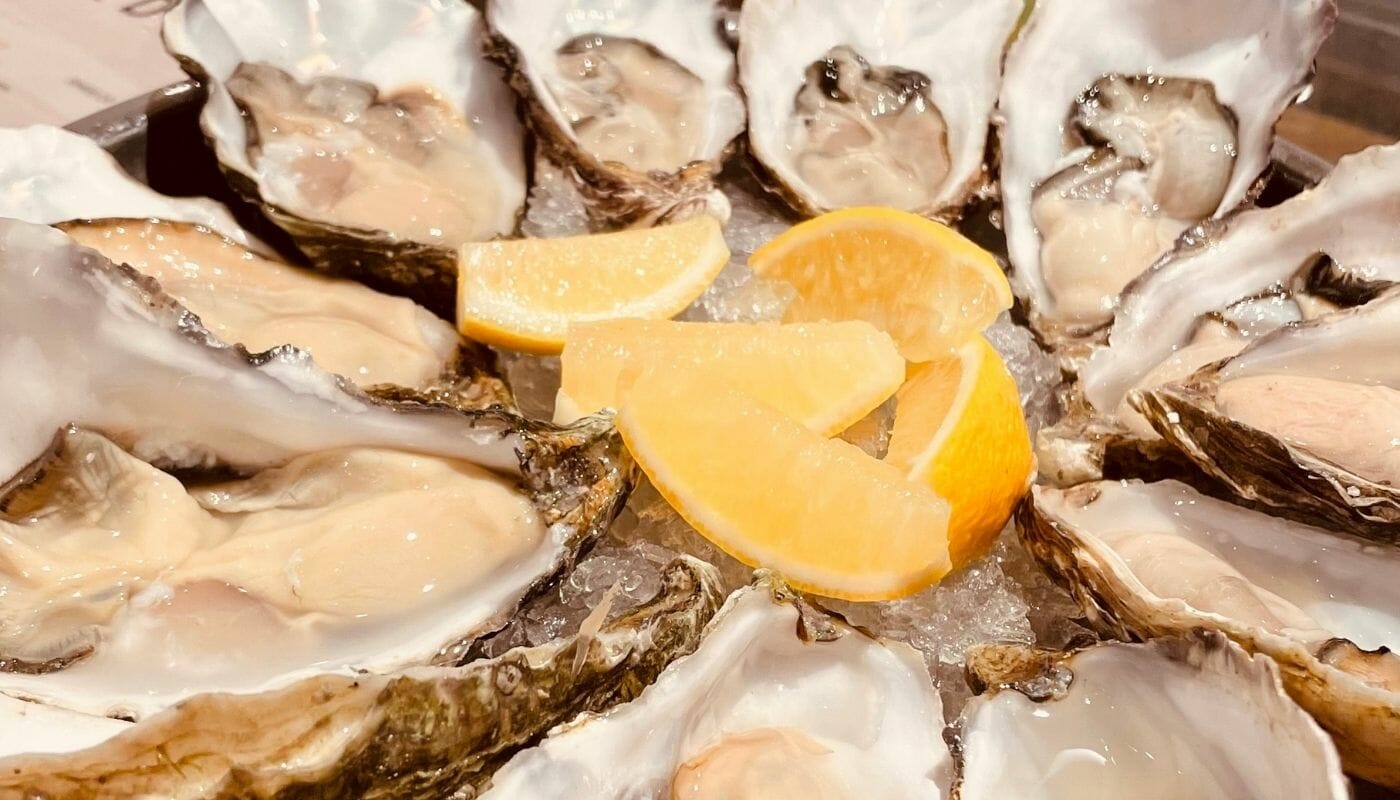 restaurant review – shucked oyster & seafood bar